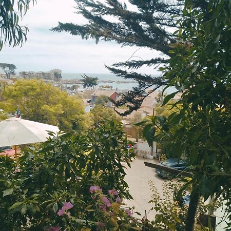 Cabanas El Bosque Maitencillo  Kültér fotó