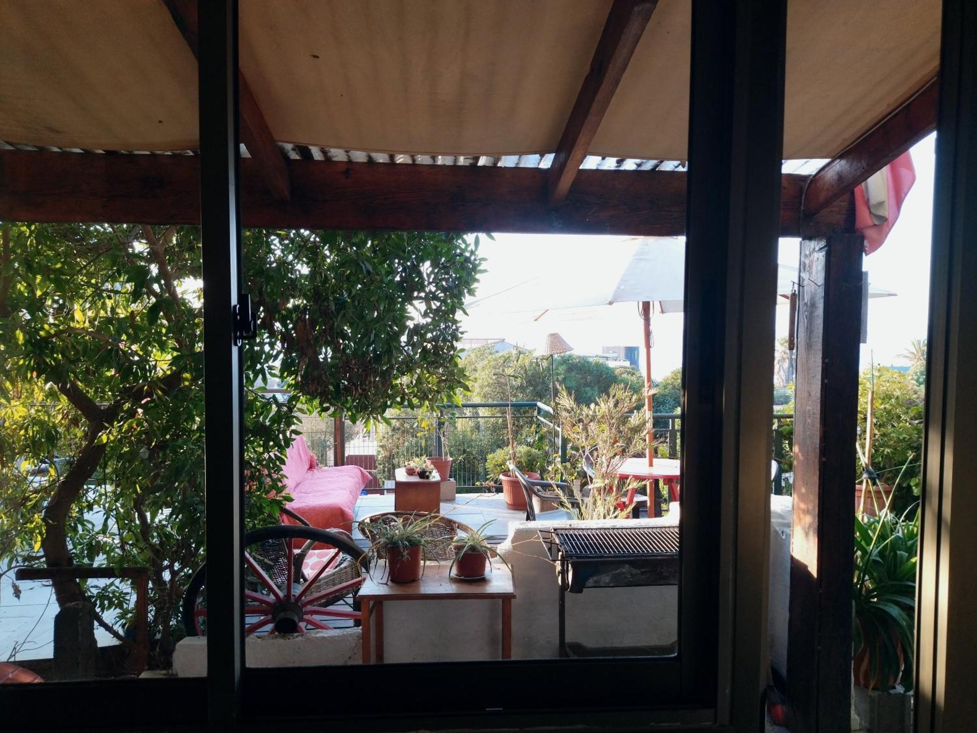 Cabanas El Bosque Maitencillo  Kültér fotó