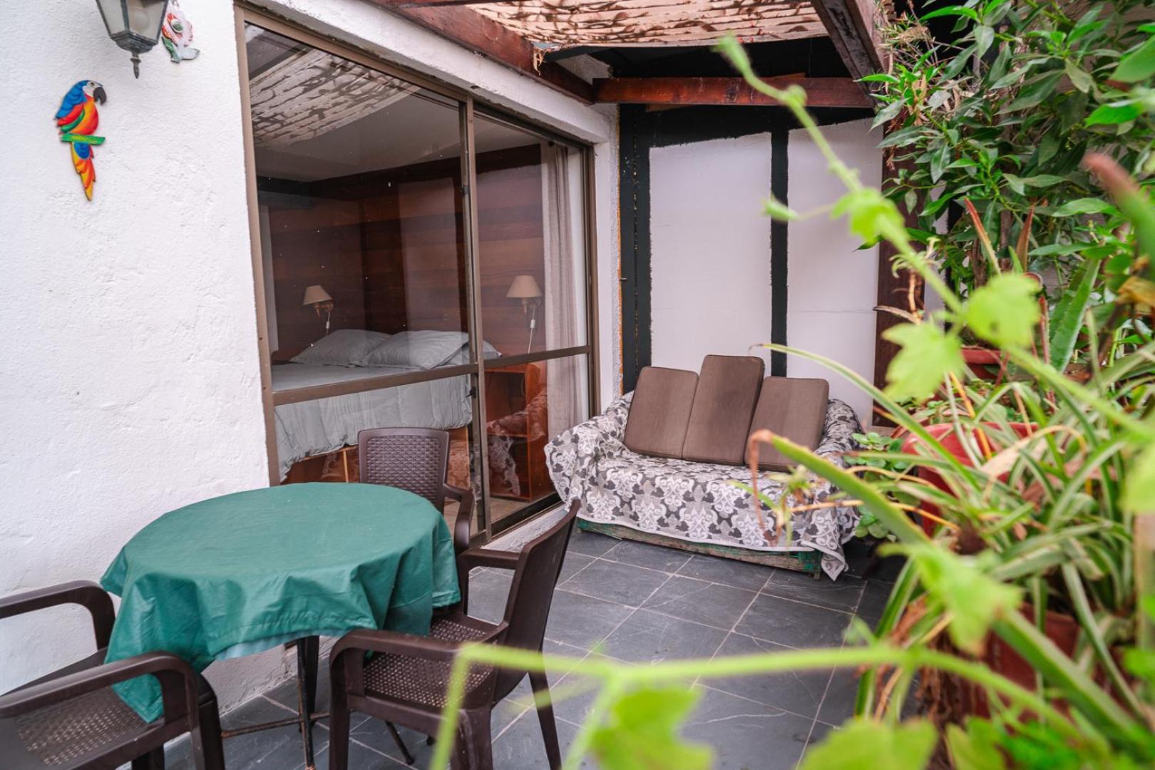 Cabanas El Bosque Maitencillo  Kültér fotó